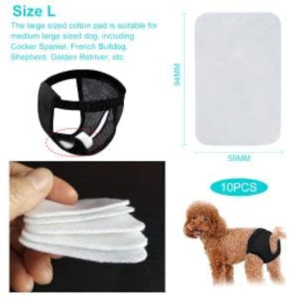 Qpets® Reusable Breathable Female Dog Diapers Combo Pack – M & L Sizes for Puppy, Adjustable, with 9 Absorbent Cotton Pads, Washable, Comfort Fit for Dogs, Ideal for Home, Travel, Training Qpets® Reusable Breathable Female Dog Diapers Combo Pack – M & L Sizes for Puppy, Adjustable, with 9 Absorbent Cotton Pads, Washable, Comfort Fit for Dogs, Ideal for Home, Travel, Training